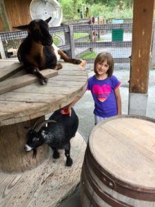 Seven-year-old girl at the Maryland Zoo with goats