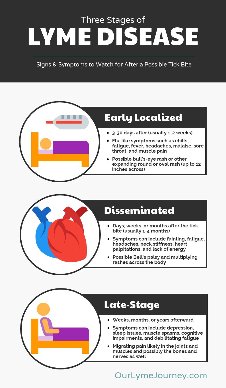 Three Stages of Lyme Disease