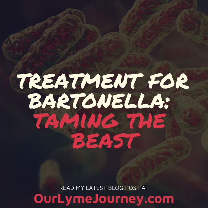 Treatment for Bartonella: Taming the Beast