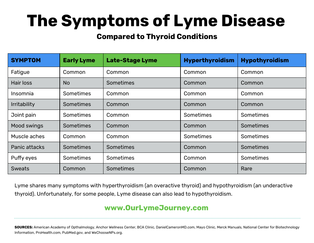 The Symptoms of Lyme Disease to Thyroid Conditions