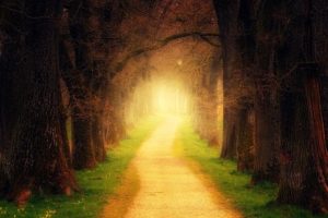Treatment for Lyme Disease: Finding Hope