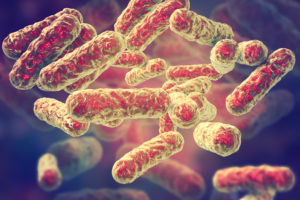 Treatment for Bartonella: Taming the Beast