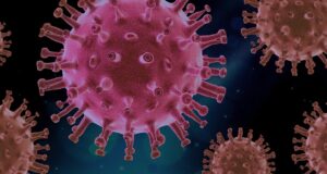 Lyme in the Time of COVID-19